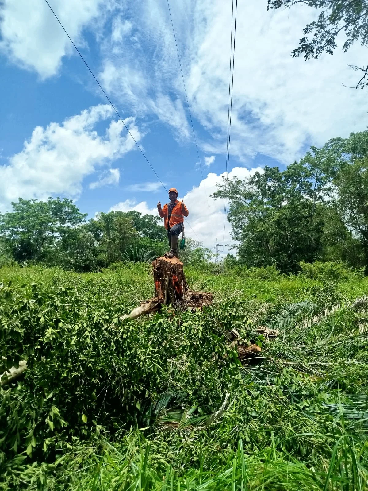 Seguridad Industrial